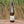 Load image into Gallery viewer, Tiki Single Vineyard Riesling 2023 ($22 per bottle)
