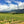 Load image into Gallery viewer, Maui North Canterbury Sauvignon Blanc 2024 ($20 per bottle)