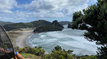 Great Barrier Island - one of Aotearoa's treasures