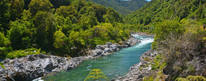 Rafting the Mohikinui