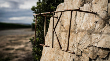 Vines at Tiki's Waiata Vineyard in Waipara, North Canterbury