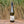Load image into Gallery viewer, Tiki Single Vineyard North Canterbury Riesling 2023 ($25 per bottle)
