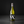 Load image into Gallery viewer, Waiata Sauvignon Blanc 2026, a white wine from the Waipara Valley, North Canterbury, New Zealand
