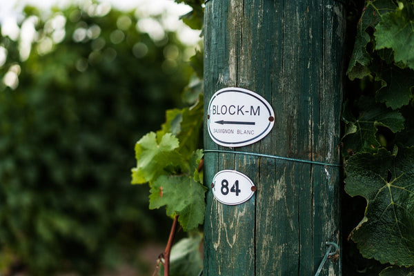Maui North Canterbury Sauvignon Blanc
