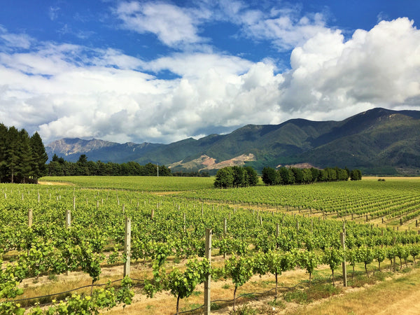 Maui North Canterbury Sauvignon Blanc